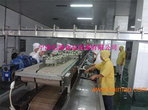 億鴻食品機(jī)械 以卓越品質(zhì)與智能技術(shù)，引領(lǐng)魚罐頭瀝水機(jī)新標(biāo)準(zhǔn)